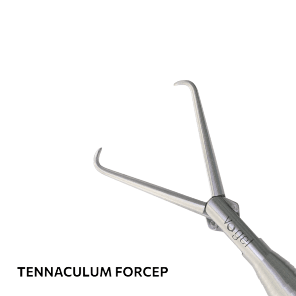 Laparoscopy 10MM Forceps - Image 4